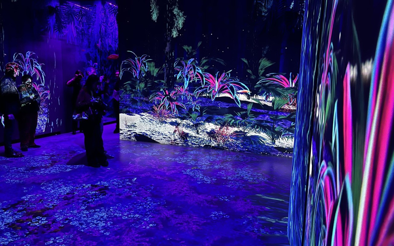 Vue de la salle immersive de l'exposition James Cameron