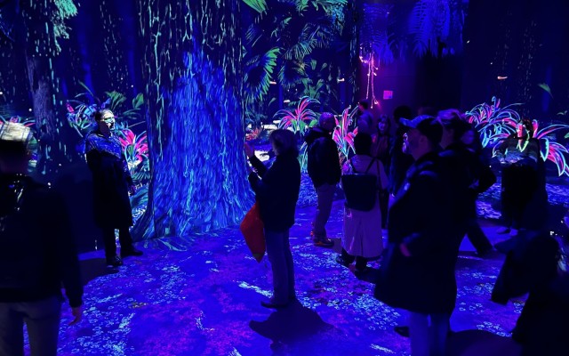 Vue du public dans la salle immersive de l'exposition