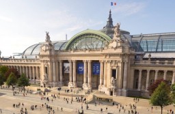 Vignette projet The Grand Palais